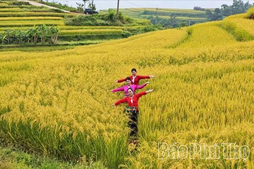 Thượng Cốc tích cực chuẩn bị cho Lễ hội ruộng bậc thang Miền Đồi năm 2026