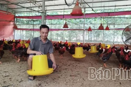 Phòng, chống dịch bệnh cho đàn vật nuôi thời điểm giao mùa