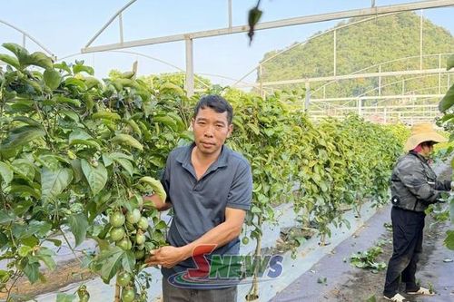 Chiềng Mung khơi dậy tiềm năng vùng cao nguyên