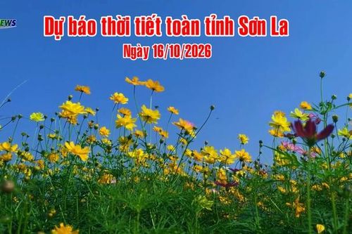 Dự báo thời tiết toàn tỉnh Sơn La ngày 16/10/2026