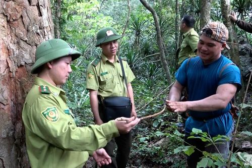 Chung tay giữ rừng Nà Noọc