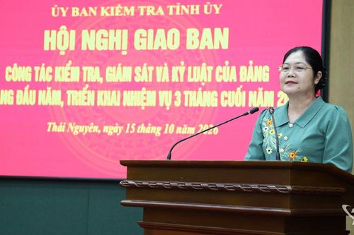 Đẩy nhanh tiến độ, hoàn thành 100% chương trình kiểm tra, giám sát năm 2026