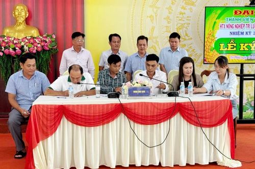 A An phát triển vùng lúa hữu cơ 63 ha theo tiêu chuẩn châu Âu tại Cà Mau
