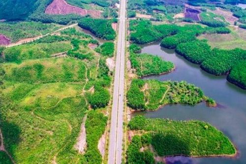 Đà Nẵng chấp thuận dự án hạ tầng khu chức năng 154ha tại FTZ, vốn hơn 3.354 tỷ đồng