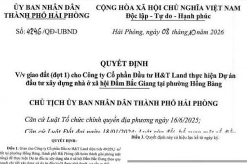 Hải Phòng giao hơn 49.000 m² đất cho H&T Land làm nhà ở xã hội Đầm Bắc Giang