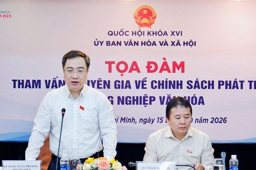 Tham vấn chuyên gia về chính sách phát triển công nghiệp văn hóa