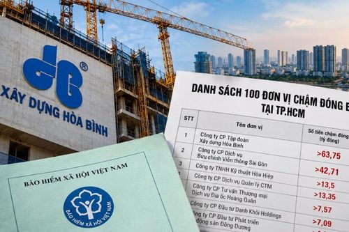 Xây dựng Hòa Bình chậm đóng hơn 63 tỷ đồng BHXH, hàng loạt doanh nghiệp địa ốc cũng góp mặt