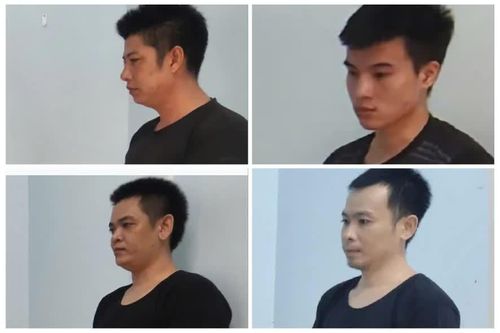 Khởi tố 4 đối tượng sử dụng vũ khí quân dụng để săn bắt voọc bạc