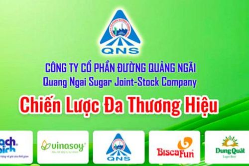 Đường Quảng Ngãi (QNS) ước lãi trước thuế quý III/2026 tăng gần 20%, mảng sữa đậu nành tiếp tục dẫn dắt