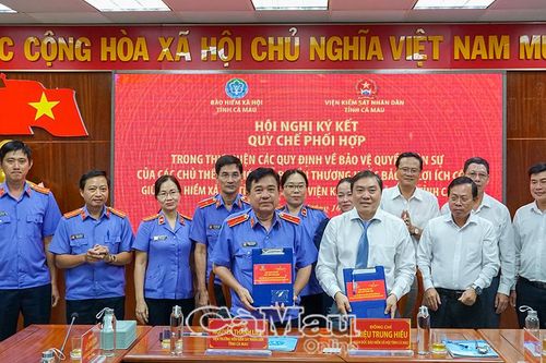 Phối hợp bảo vệ quyền dân sự của các nhóm dễ bị tổn thương