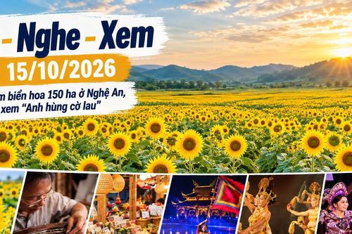 Đi - Nghe - Xem 15/10/2026: Ngắm biển hoa 150 ha ở Nghệ An, đêm xem 'Anh hùng cờ lau'