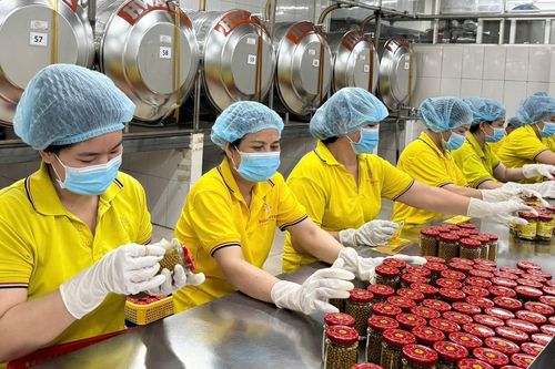 TP.HCM điều chỉnh kịch bản tăng trưởng nhiều ngành để đảm bảo GRDP tăng hơn 10%