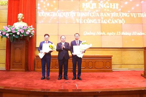 Quảng Ninh điều động, bổ nhiệm loạt cán bộ cấp sở, ngành và lãnh đạo xã, phường