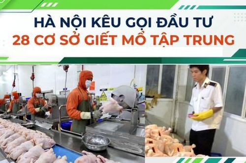 Hà Nội kêu gọi đầu tư 28 cơ sở giết mổ tập trung