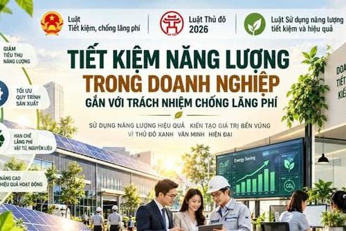 Tiết kiệm năng lượng trong doanh nghiệp gắn với trách nhiệm chống lãng phí