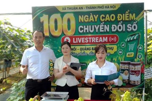 Bùng nổ livestream bán hàng, người tiêu dùng cần được bảo vệ bằng thông tin minh bạch