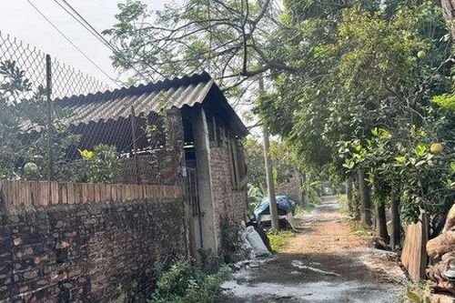 Xã Dương Hòa: Các hộ chăn nuôi lợn phải có biện pháp để đảm bảo vệ sinh môi trường