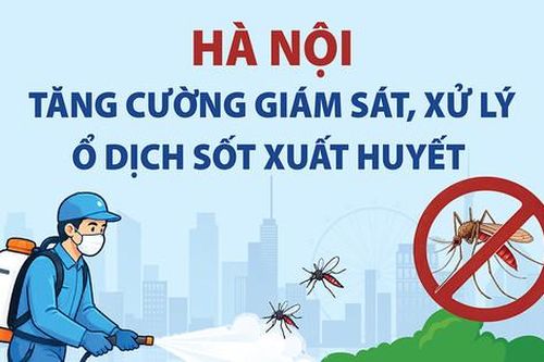 Hà Nội tăng cường giám sát, xử lý ổ dịch sốt xuất huyết