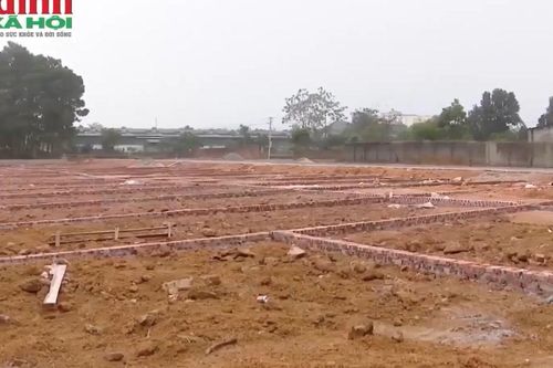 Bộ Nông nghiệp và Môi trường giải đáp điều kiện tách thửa đất khi chia thừa kế