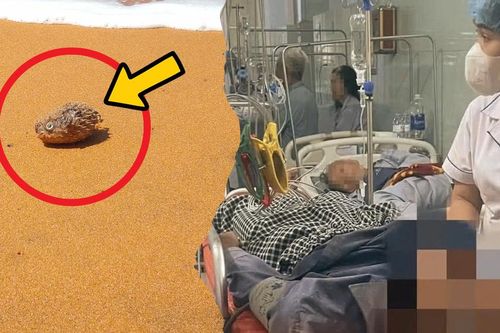 Người đàn ông 38 tuổi nguy kịch vì ăn loại cá nướng chứa độc tố cực mạnh