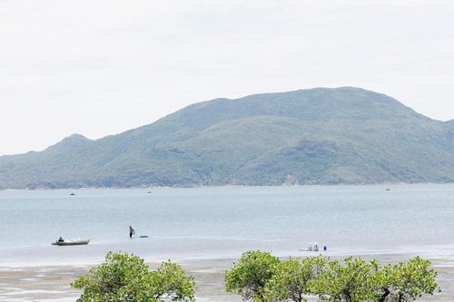 Đầm Thị Nại: Di sản thiên nhiên đáng được gìn giữ