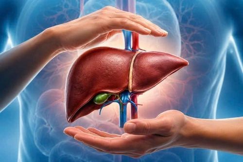 Bộ phận nào của cơ thể có thể tự tái tạo sau tổn thương?