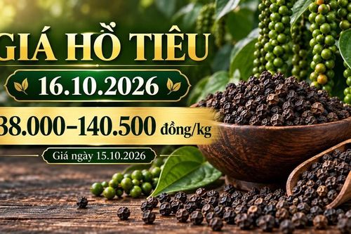 Giá hồ tiêu hôm nay 16.10.2026: Chờ sức mua sau phiên giữ giá