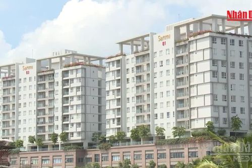 [Video] Ngày 2/11 là hạn chót để chủ căn hộ chung cư nộp thuế sử dụng đất phi nông nghiệp