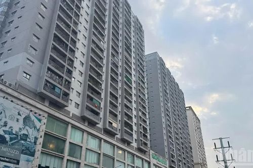 Thị trường văn phòng linh hoạt toàn cầu bước vào giai đoạn phát triển mới