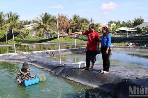 Thanh niên Đồng Tháp khởi nghiệp, làm giàu cho quê hương