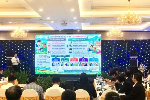 Tăng cường chuỗi giá trị cây trồng an toàn