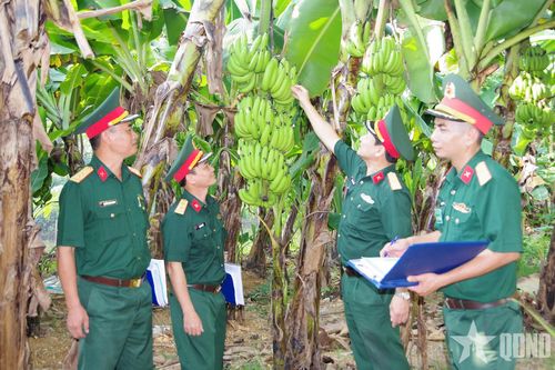Trường Sĩ quan Pháo binh tổ chức thi tăng gia sản xuất thời kỳ giáp vụ