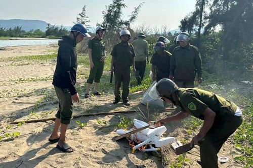 Quyết liệt ngăn chặn, xử lý vấn nạn 'tận diệt chim trời'