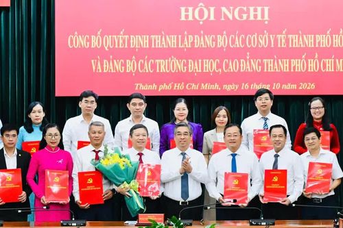 Thành lập Đảng bộ các cơ sở y tế TPHCM và Đảng bộ các trường đại học, cao đẳng TPHCM