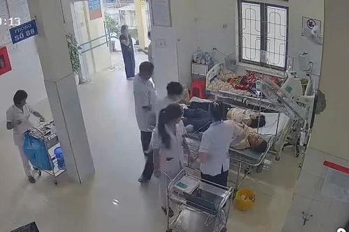 Đi làm nương, hai vợ chồng bị đàn ong đốt phải nhập viện cấp cứu