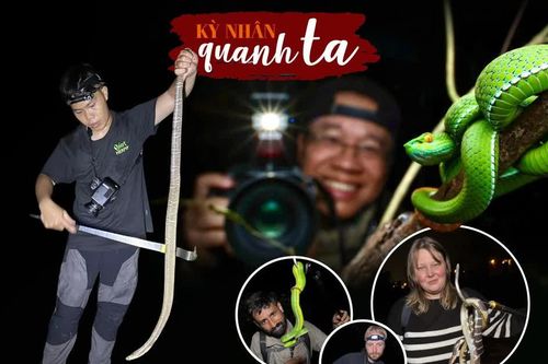 Rắn độc và rừng hoang đã 'bỏ bùa' họ như thế đó