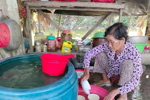 Cà Mau mong sớm có dự án đưa nước sông Hậu về cấp cho dân