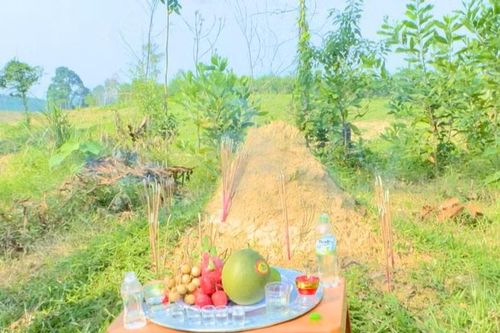 Xác minh ngôi mộ nghi là mộ liệt sĩ sau hơn 50 năm an táng