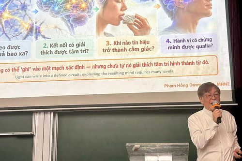 Từ 'bật tắt' tế bào não bằng ánh sáng đến 'bắt' hạt vũ trụ dưới băng Nam Cực