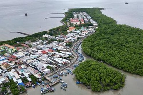 Nghiên cứu xây cửa hàng xăng dầu trên mặt nước ở xã đảo