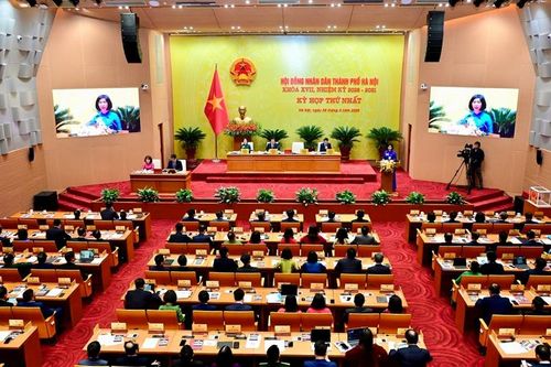 Quy định chức năng, nhiệm vụ và quy chế làm việc mẫu của Đảng ủy Hội đồng nhân dân tỉnh, thành phố