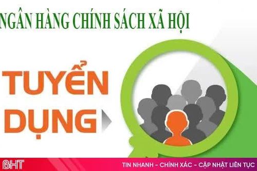 Ngân hàng Chính sách xã hội Hà Tĩnh tuyển dụng lao động
