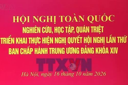 Tổng Bí thư, Chủ tịch nước Tô Lâm: Chủ trương đúng phải trở thành năng lực phát triển thực chất