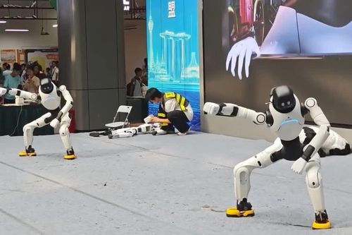 Robot hình người nhảy múa, robot chó gây chú ý tại Trung Quốc