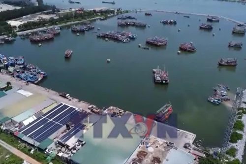 Quyết tâm gỡ thẻ vàng IUU trong năm 2026