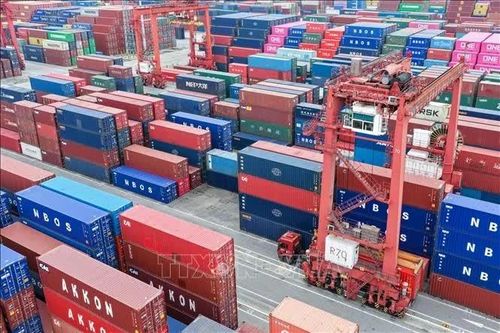 APEC trước ngã rẽ lịch sử của kinh tế thế giới