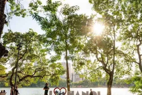 VPIM 2026 - giải chạy đậm chất Hà Nội nhất trở lại vào ngày 18/10