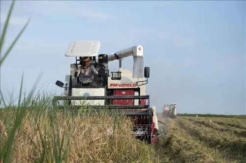 FAO cảnh báo an ninh lương thực toàn cầu đối mặt nhiều rủi ro hơn