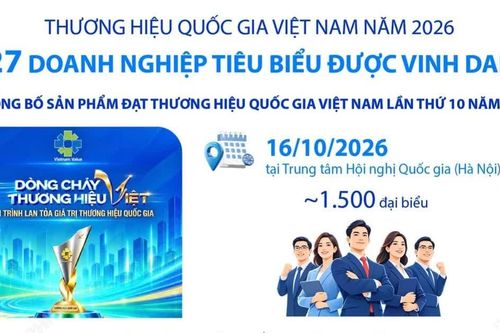 Thương hiệu quốc gia Việt Nam năm 2026: 227 doanh nghiệp tiêu biểu được vinh danh