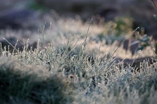El Niño có thể khiến mùa Đông Hàn Quốc biến động khó lường
